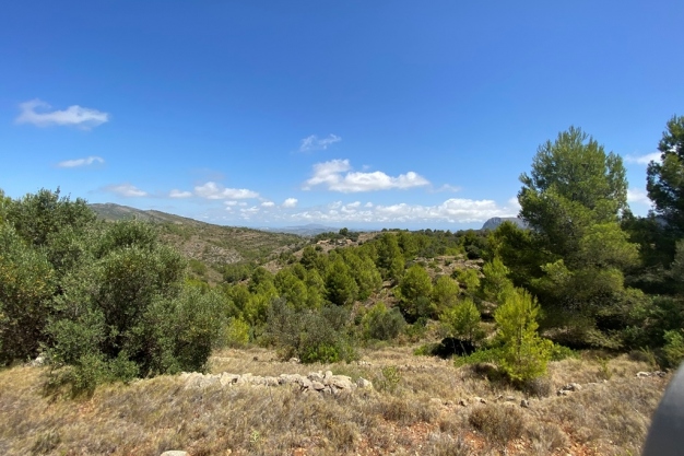 plot in Jalón