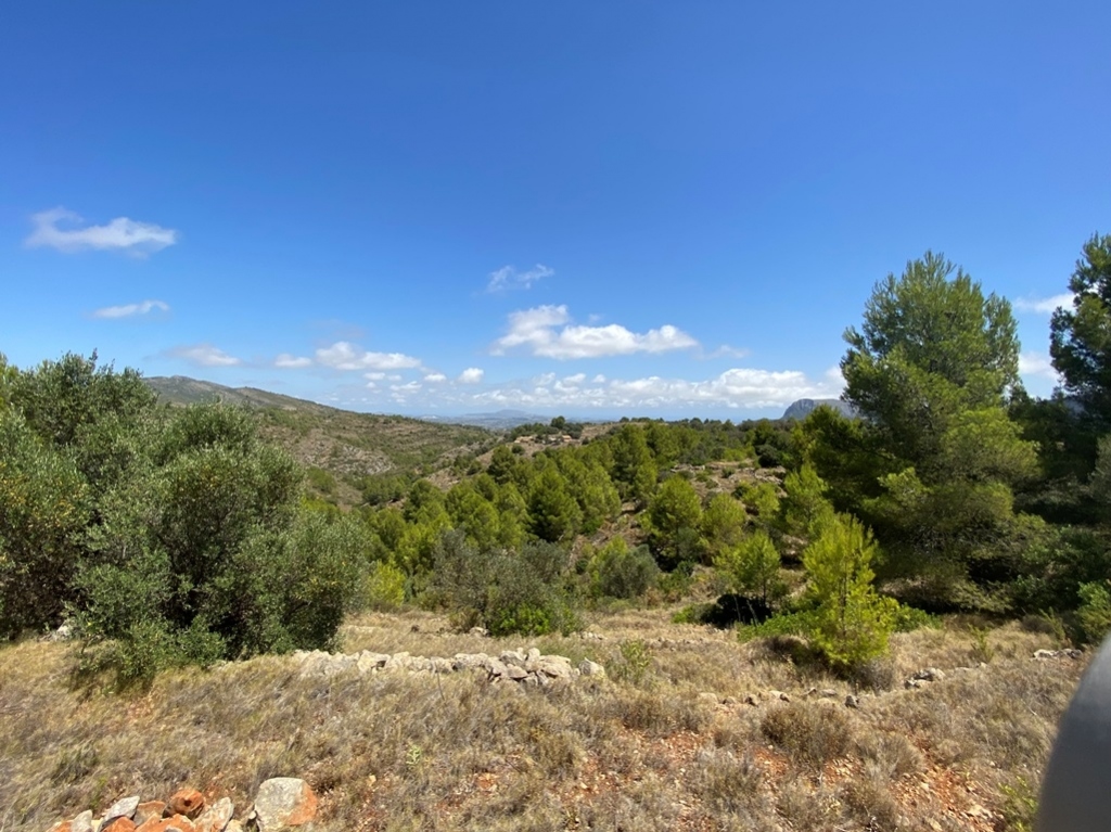 plot in Jalón