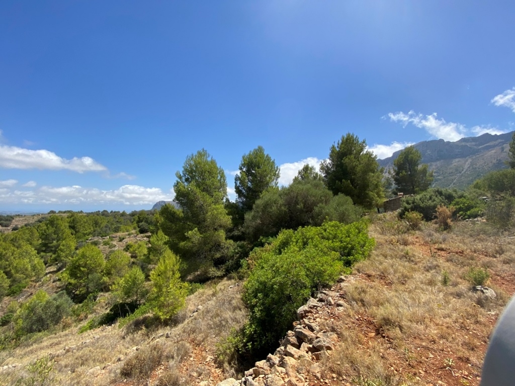 plot in Jalón