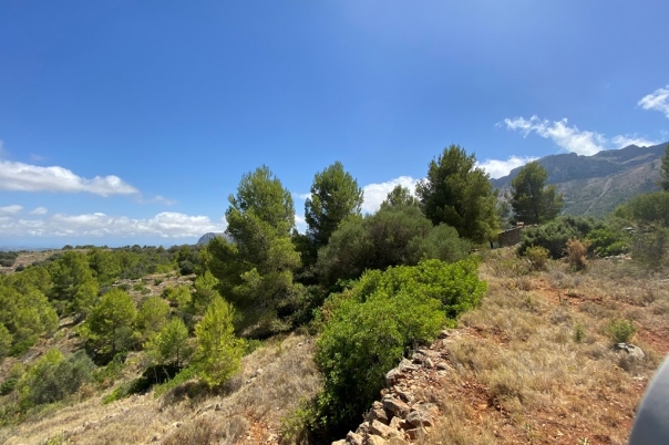 plot in Jalón