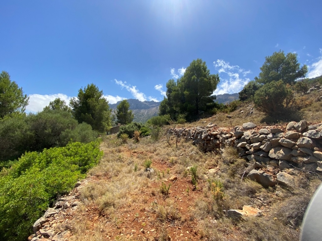 plot in Jalón