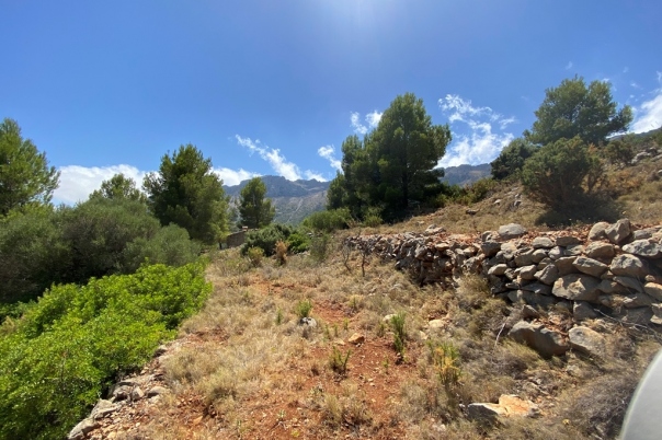 plot in Jalón