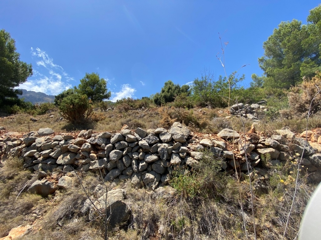 plot in Jalón
