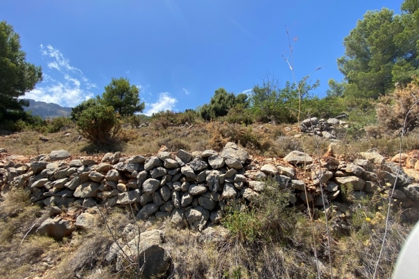 plot in Jalón