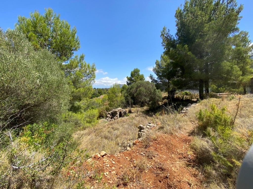 plot in Jalón