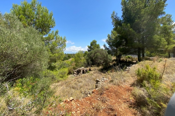 plot in Jalón