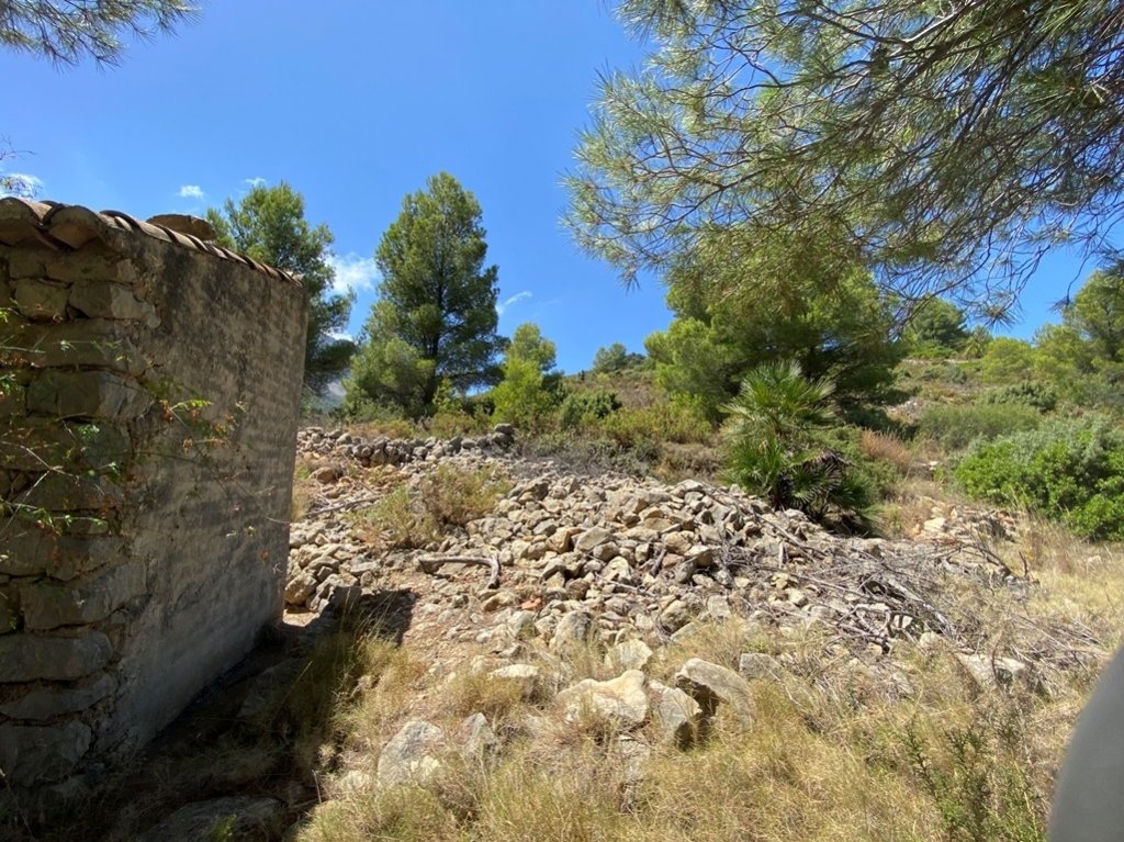 plot in Jalón
