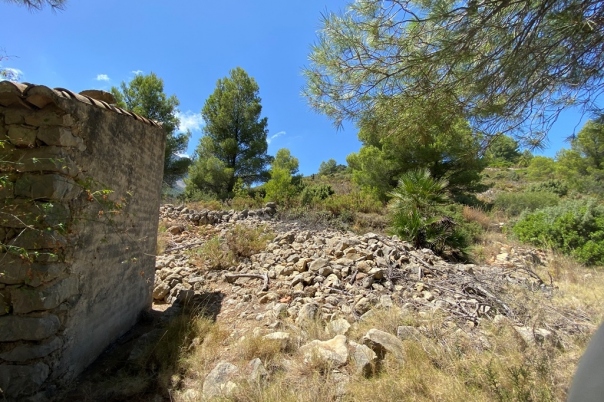 plot in Jalón
