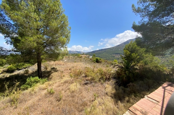 plot in Jalón