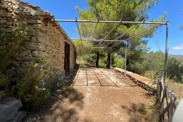 plot in Jalón