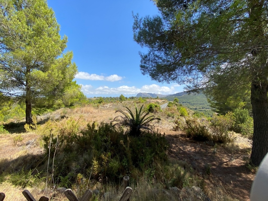 plot in Jalón