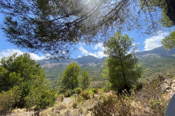 plot in Jalón
