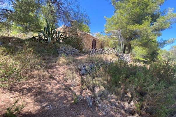 plot in Jalón