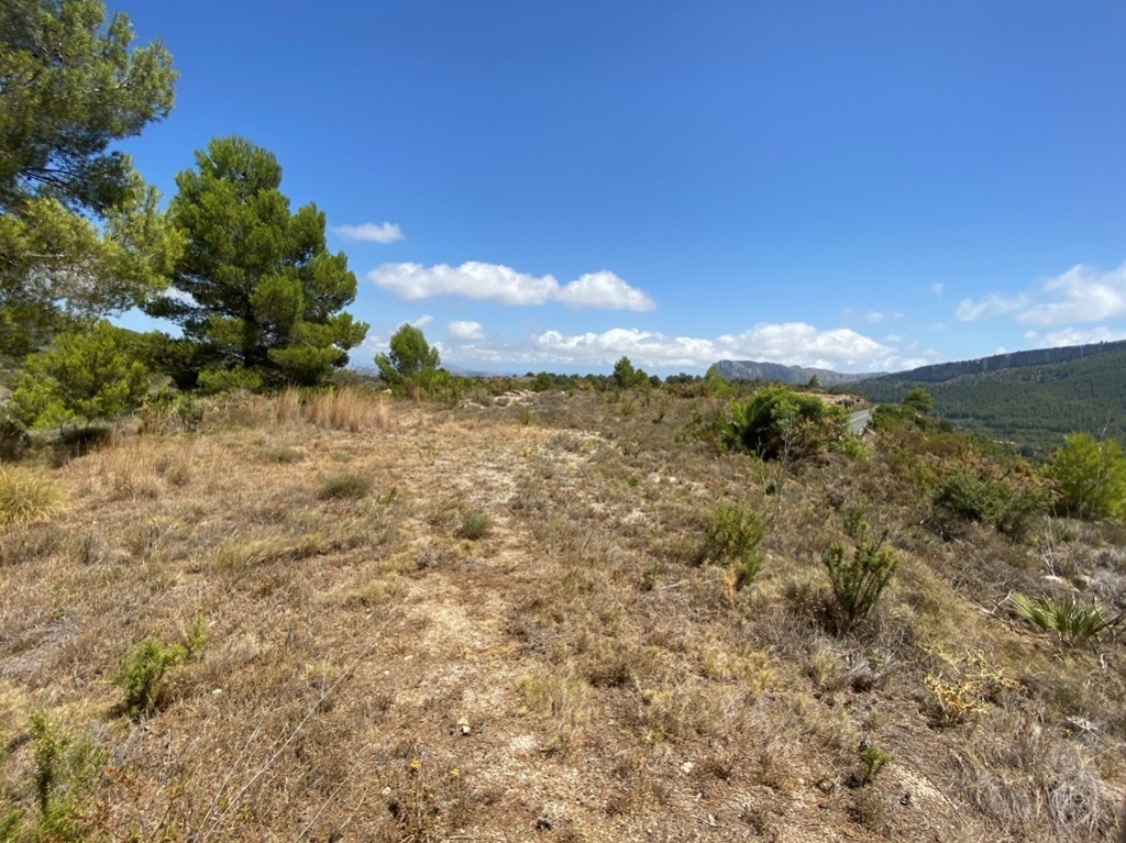 plot in Jalón