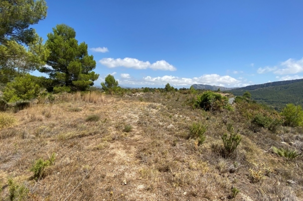 plot in Jalón