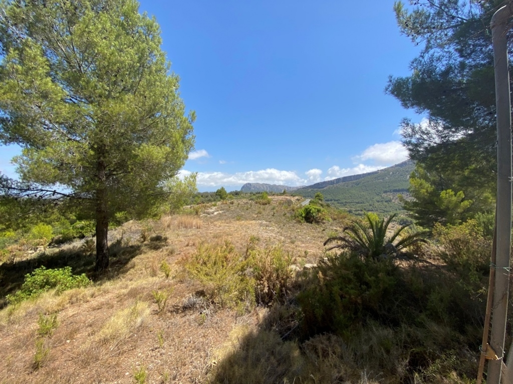 plot in Jalón