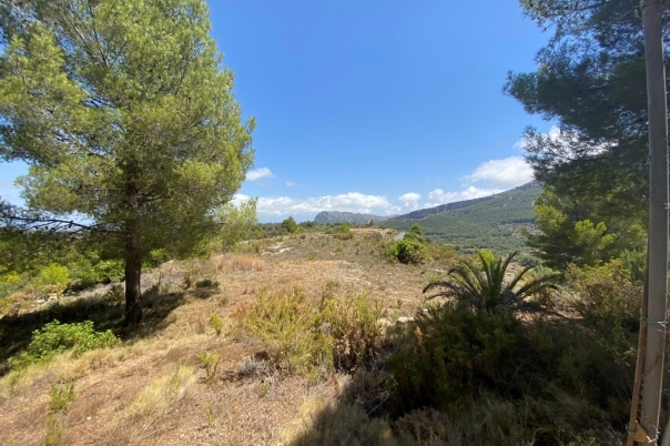 plot in Jalón
