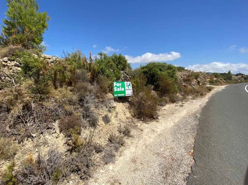 plot in Jalón