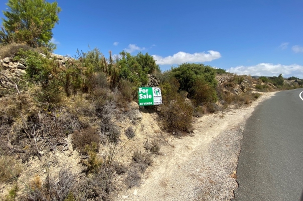 plot in Jalón