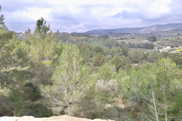 plots of land in Moraira