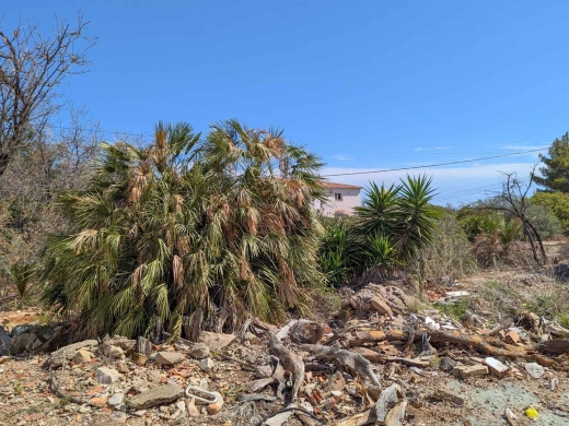 plot in Denia