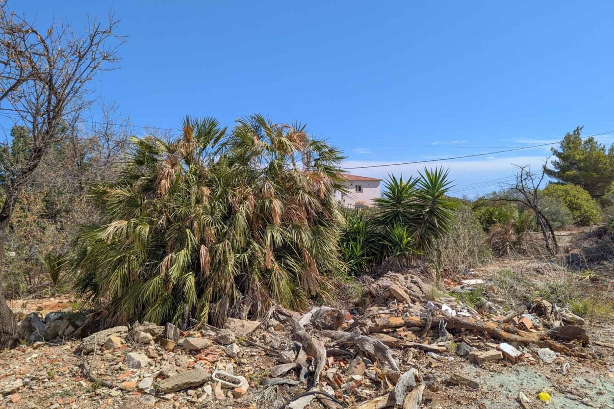 plot in Denia