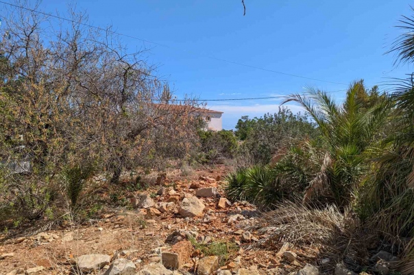 plot in Denia