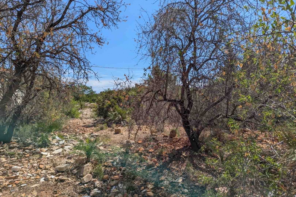 plot in Denia