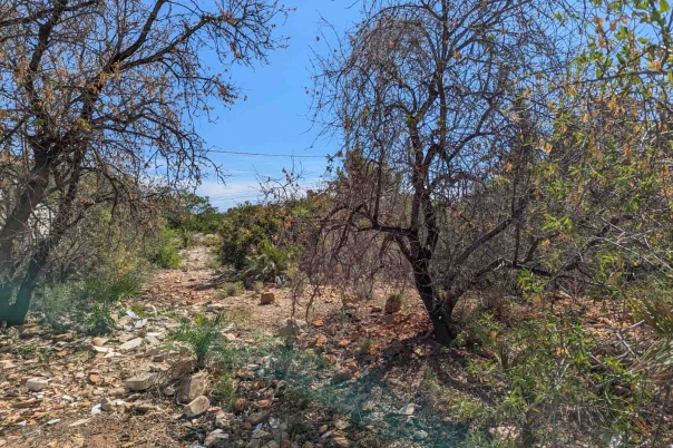 plot in Denia