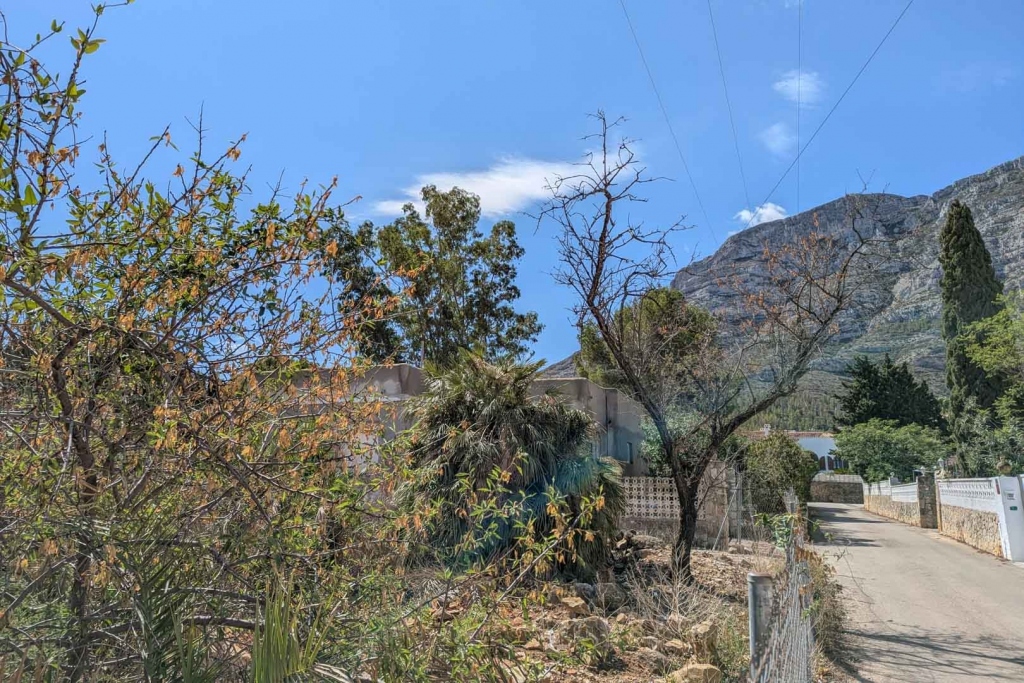 plot in Denia