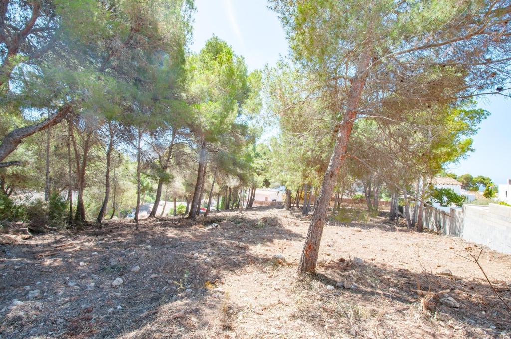 plots of land in Moraira