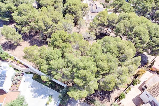 plots of land in Moraira