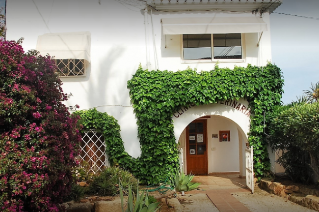 Clinica Veterinaria Asis - Vet in Javea