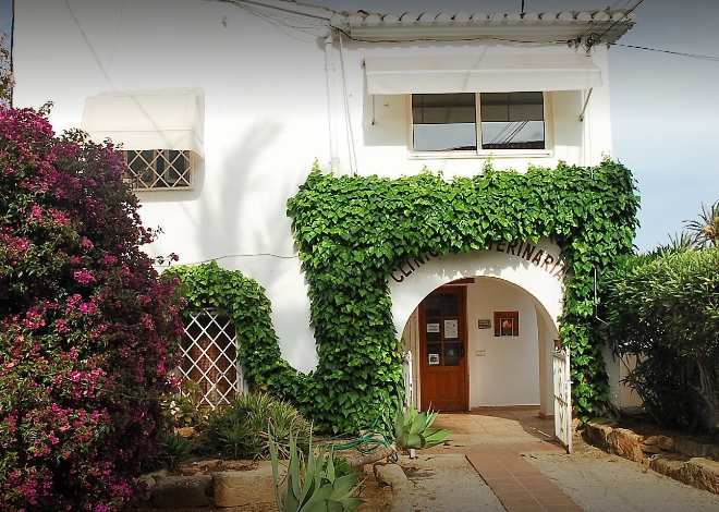 Clinica Veterinaria Asis - Vet in Javea