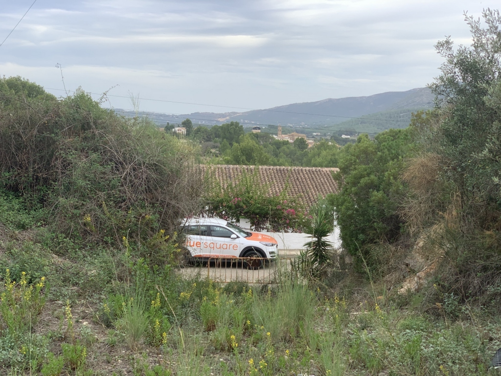 plot in Alcalali