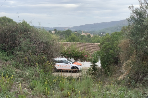 plot in Alcalali