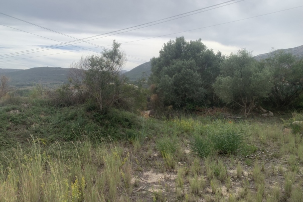 plot in Alcalali