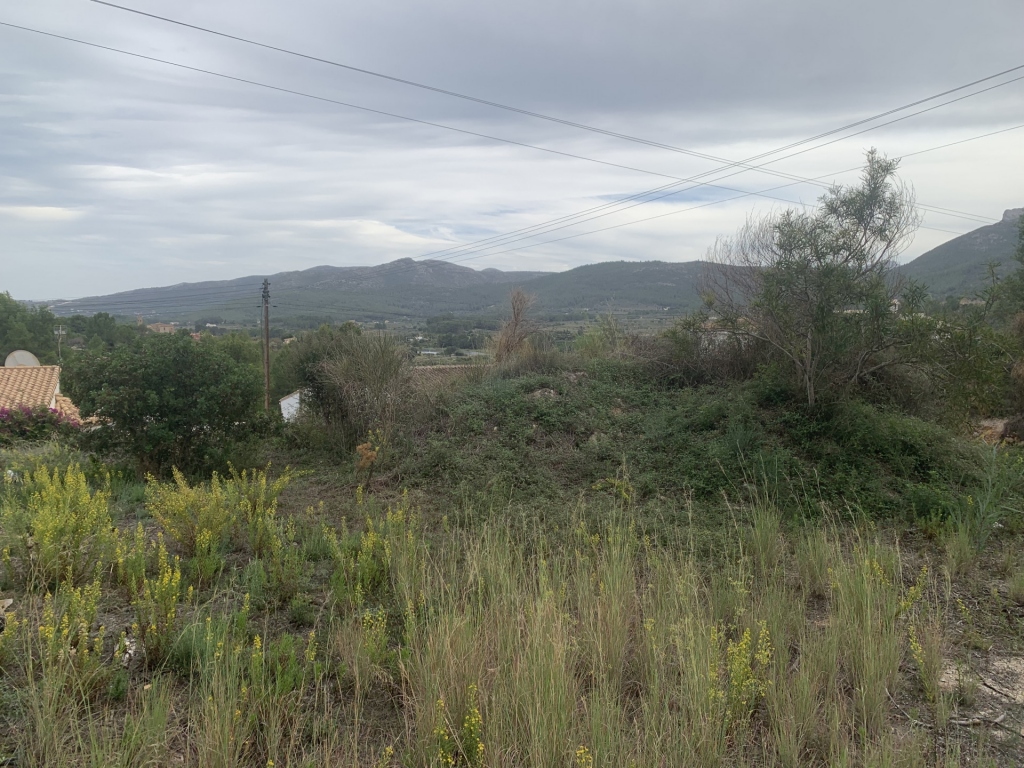 plot in Alcalali