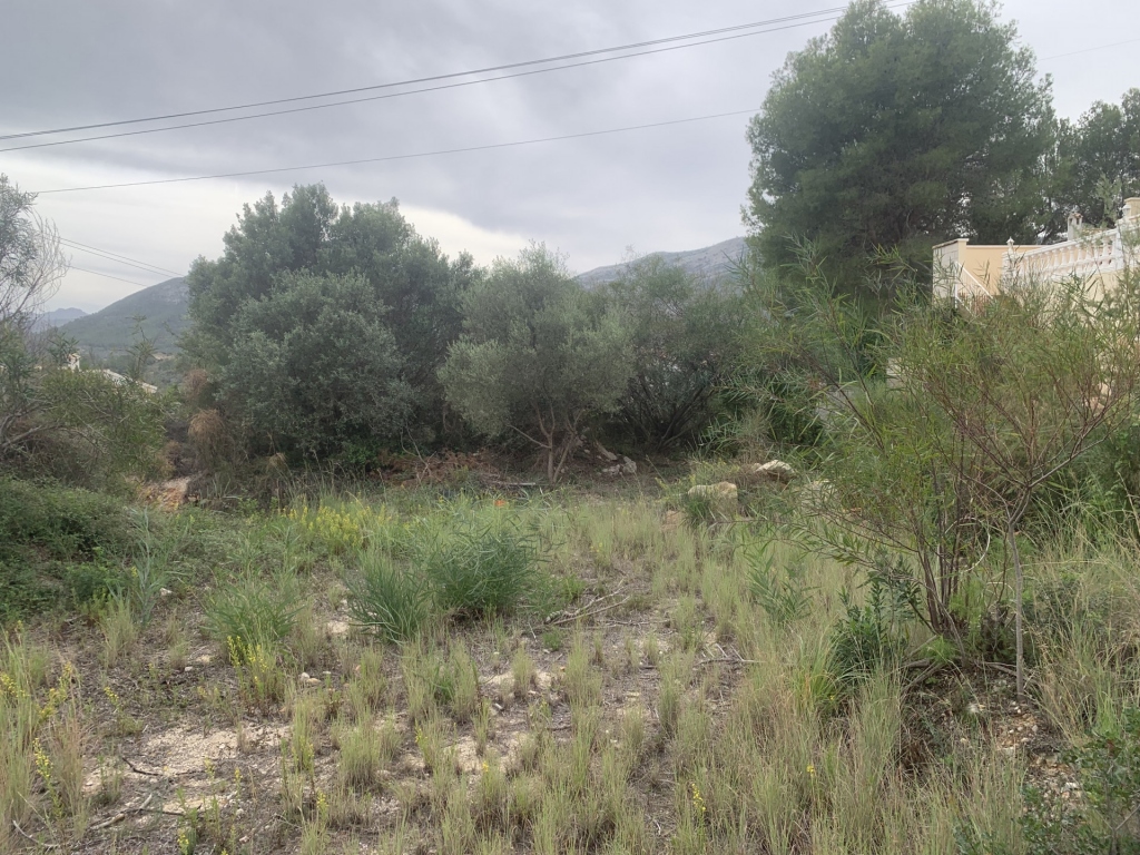 plot in Alcalali