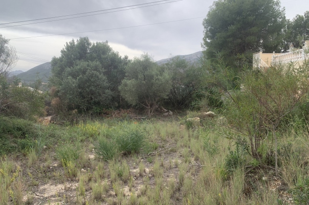 plot in Alcalali