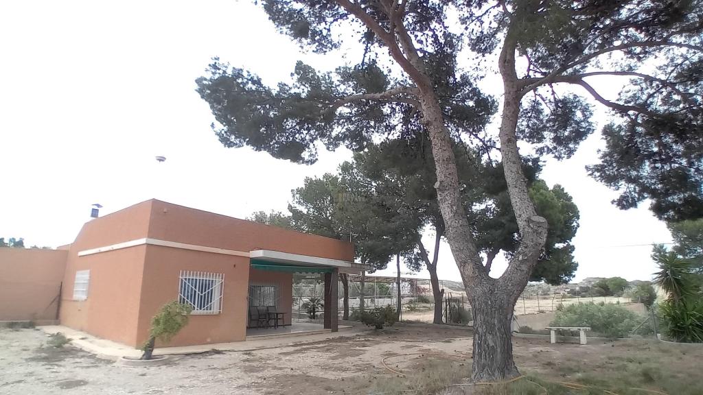 3 bed country house in Elche/Elx