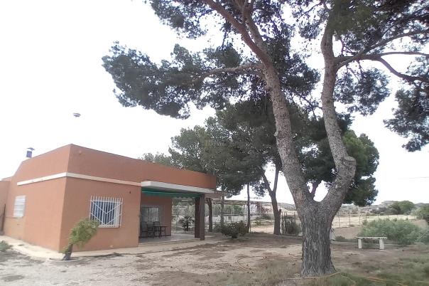 3 bed country house in Elche/Elx