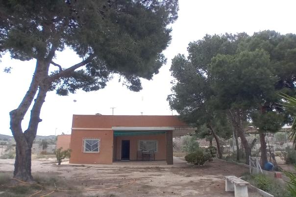 3 bed country house in Elche/Elx
