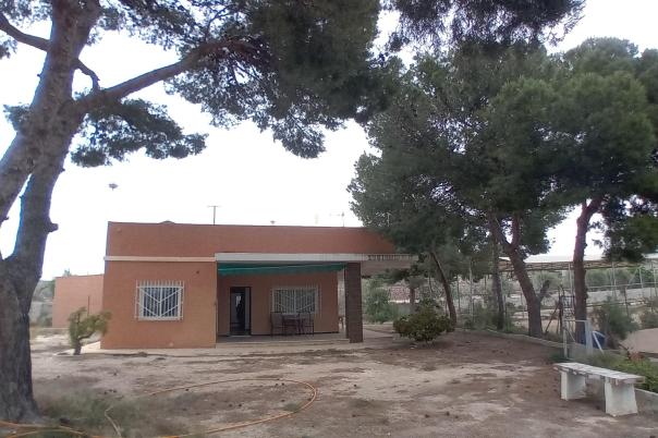 3 bed country house in Elche/Elx
