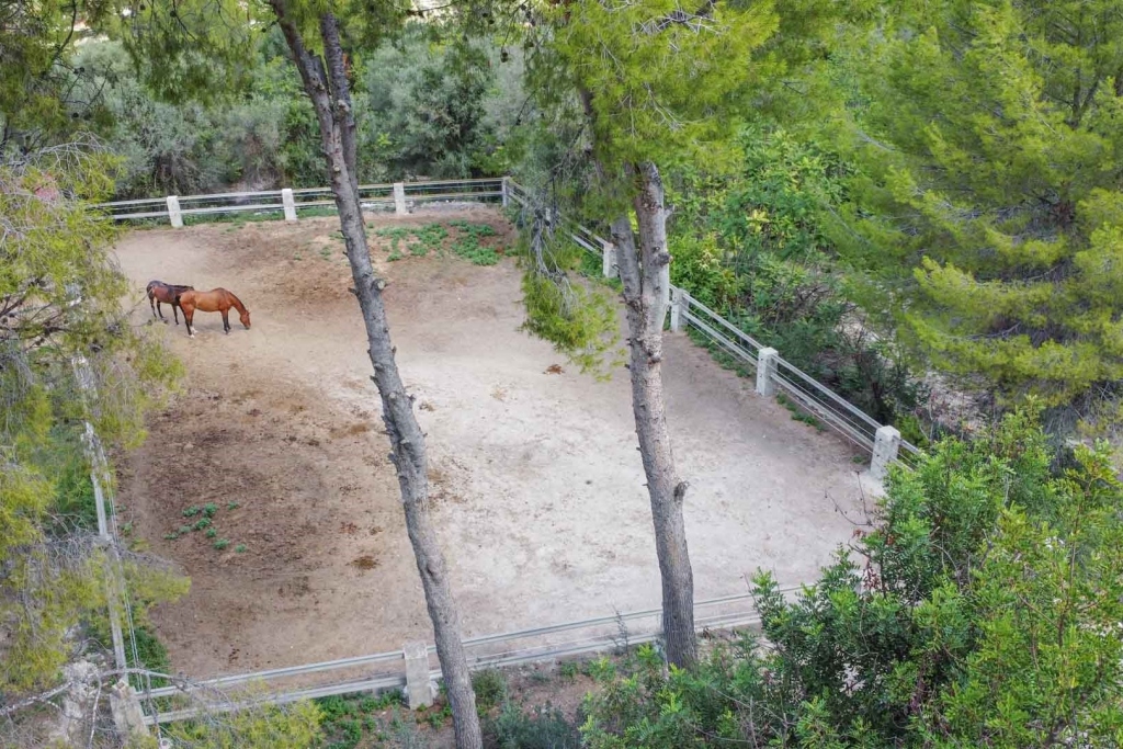 4 bed villa in Orba