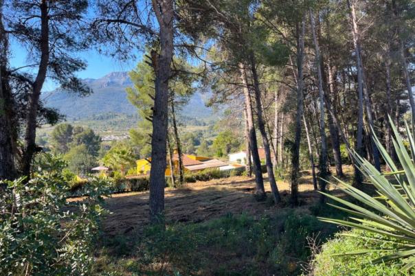 plot in Alcalalí