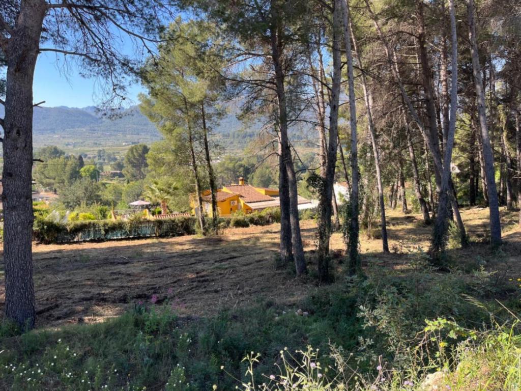 plot in Alcalalí