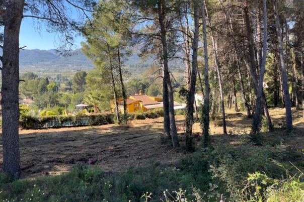 plot in Alcalalí