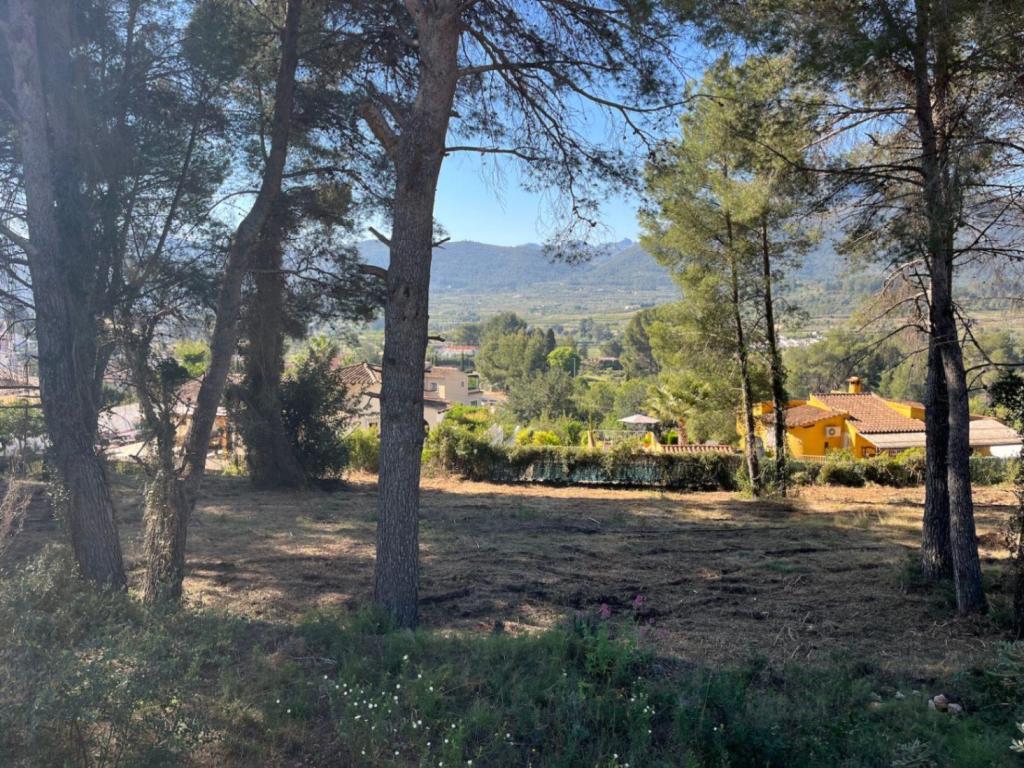 plot in Alcalalí