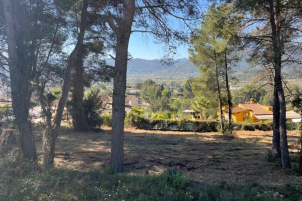 plot in Alcalalí